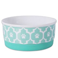 Bone Dry Lattcie Bowl Top Pick Best Ceramic Dog Bowl For Small Dogs