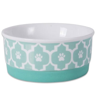Bone Dry Aqua colored ceramic dog bowl best for small dogs