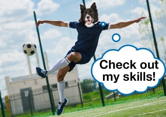 Border Collie dog head on soccer player body kicking soccer ball