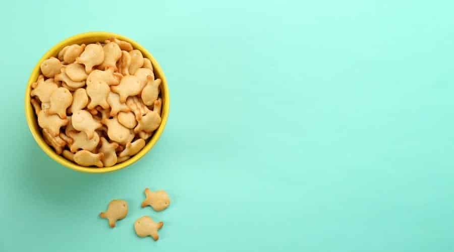 Bowl of Goldfish Crackers