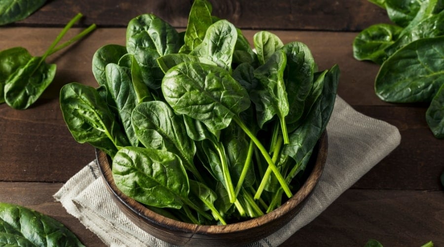 Bowl of Green Leafy Vegetables