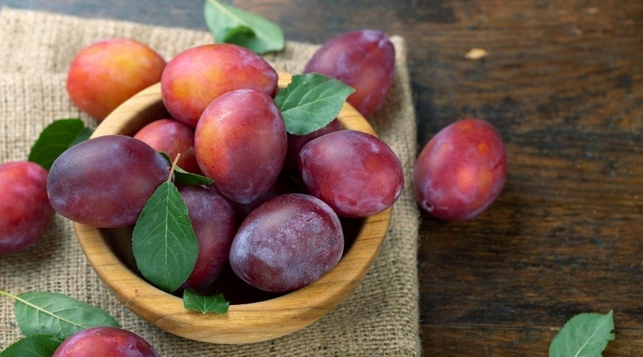 Bowl of Plums