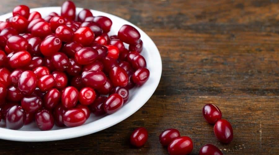 Bowl of cranberries