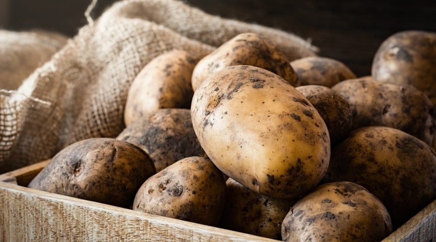 Box of raw Russet potatoes.