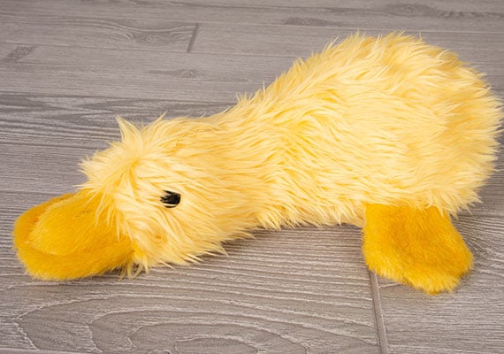 Bright yellow fluffy duckworth duck plush toy for dogs resting on wooden flooring