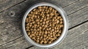 Rottweiler Feeding Chart: How Much To Feed Your Rottie Puppy - Canine ...