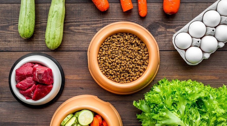 Canidae Natural Ingredients In Picture