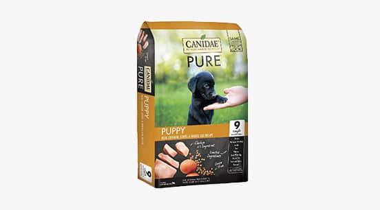 canidae small breed