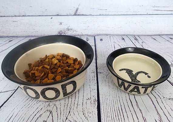 Ceramic dog bowls filled with food and water