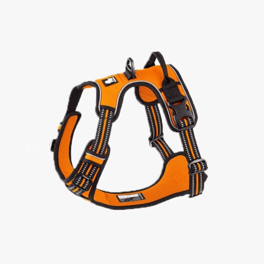 Best Harnesses For Cavalier King Charles Spaniels Ratings, Reviews