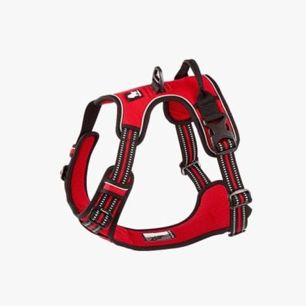 Chai's Choice Reflective 3M Dog Harness