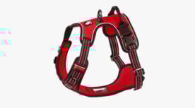 Chai's Choice 3M Harness