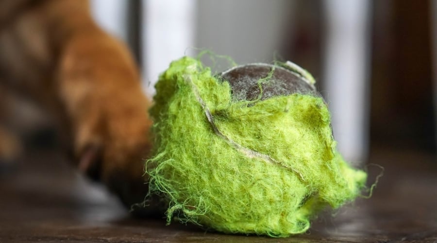 Chewed Up Bright Green Ball