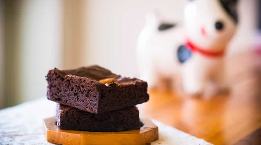 Chocolate Dessert on a Plate