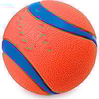 Chuckit! Ultra Ball Top Pick Best All Round Dog Tennis Ball