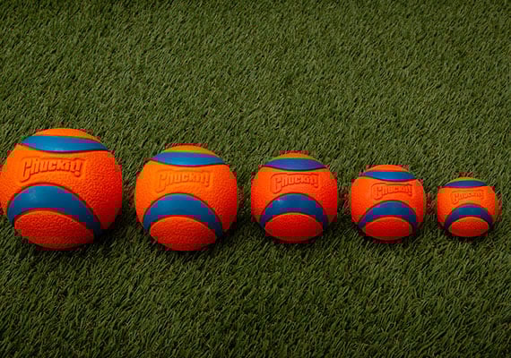Chuckit! Ultra different sizes of the ball compared side by side