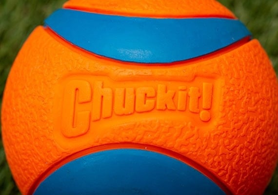 Chuckit! Ultra dog tennis ball close up shot on rubber surface
