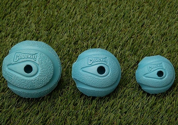 Chuckit! Whistler balls small, medium and large compared side by side