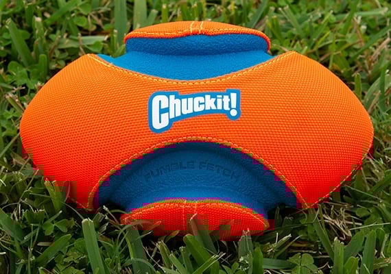 Cuckit Fumble Fetch dog football sitting on grass in park