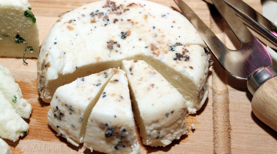Close Up of Snack Spread