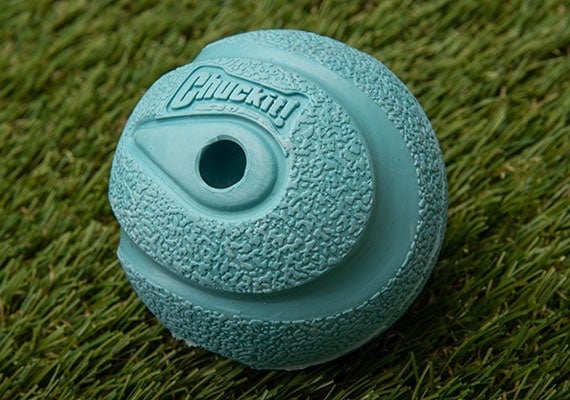 Close up on blue Chuckit! Whistler rubber dog tennis ball