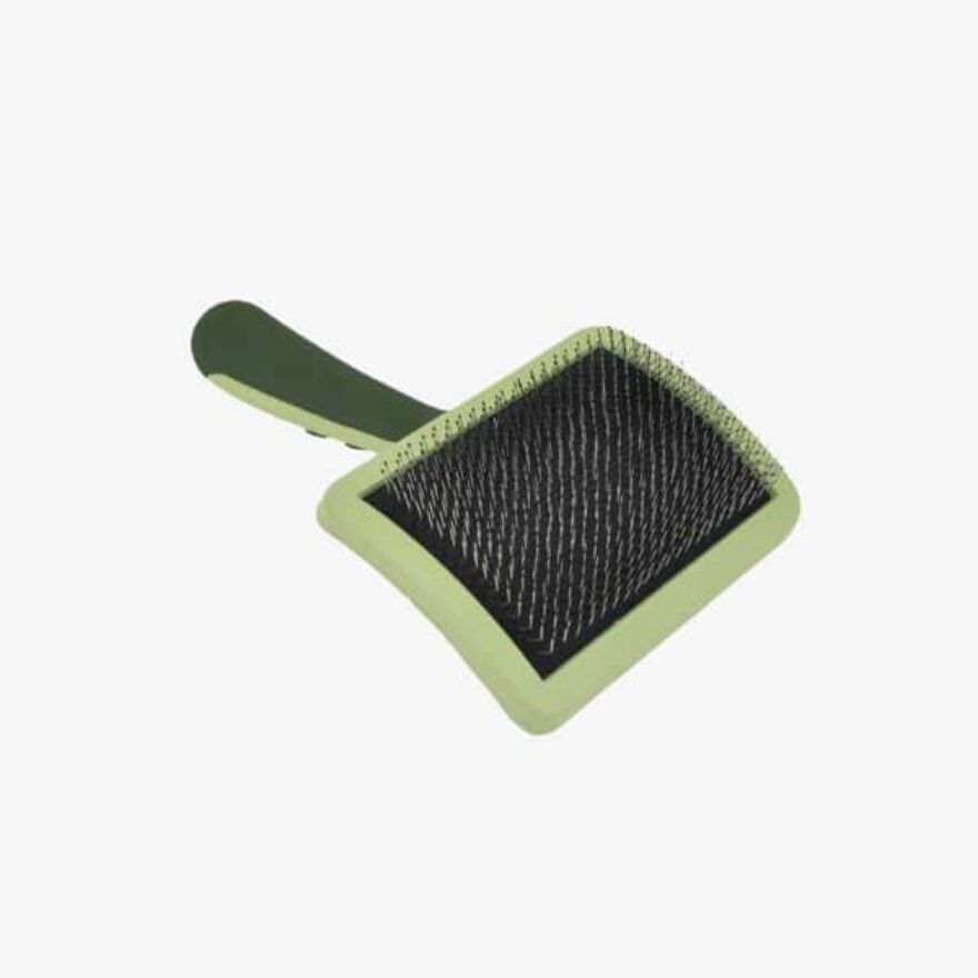 10 Best Dog Brushes for Poodles in 2026 - Reviews & Top Picks - Dogster