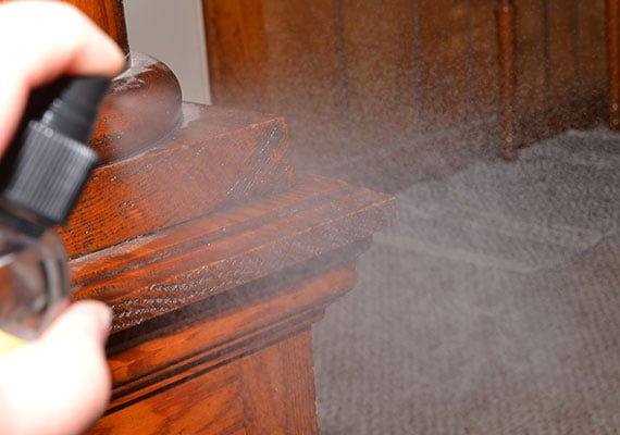 Coating wooden corner of home with anti chew spray