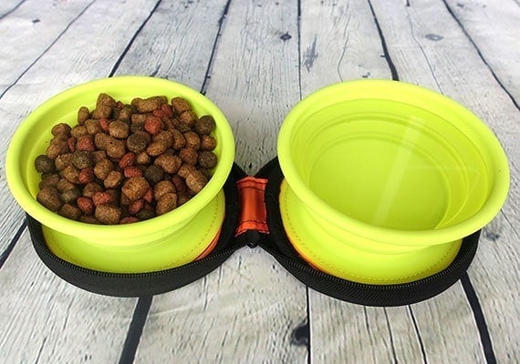 Collapsible dog bowl filled with dry dog food and water