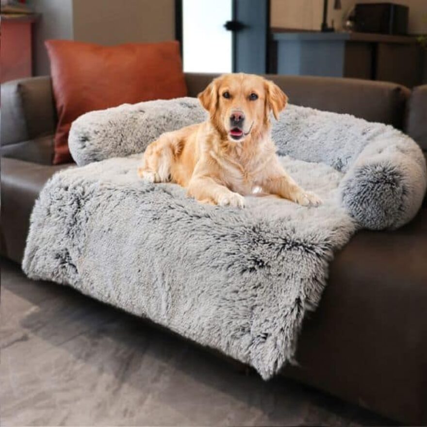Best Dog Beds For English Bulldogs Canine Journal