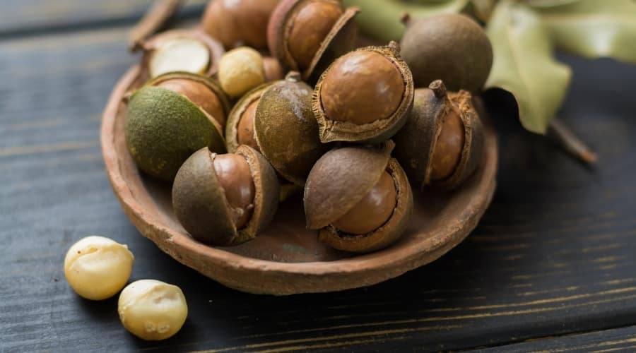 Bowl of macadamia nuts.