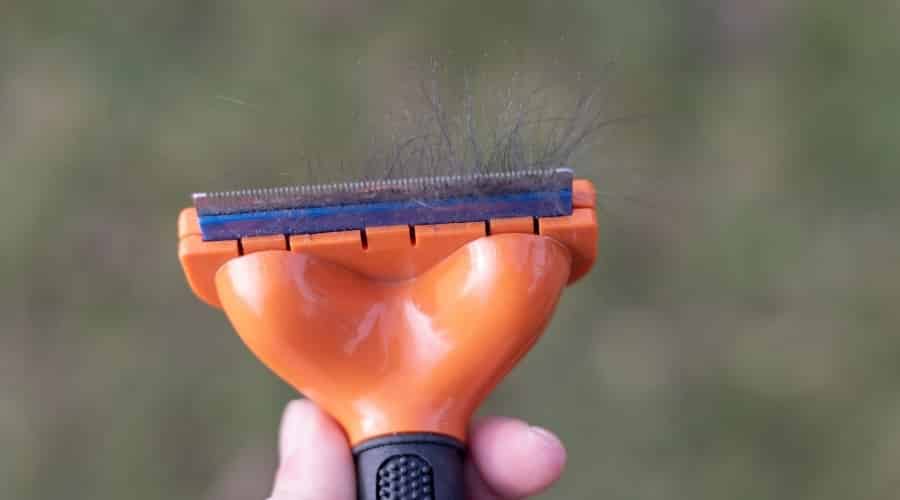 Deshedding Tool