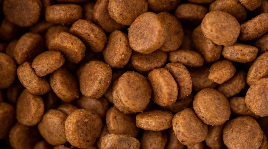 Diamond Naturals Dog Food