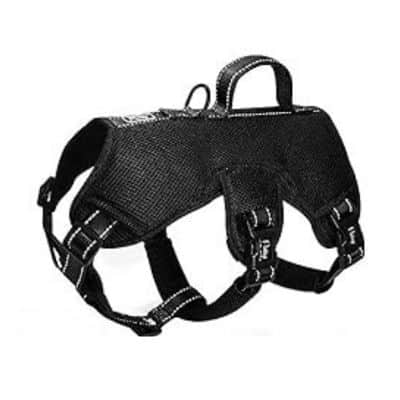 Didog Escape Proof Harness