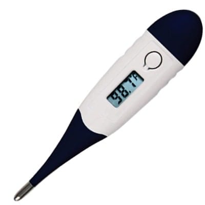 Digital rectal thermometer for checking dog temperature