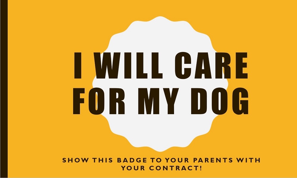 Dog Badge
