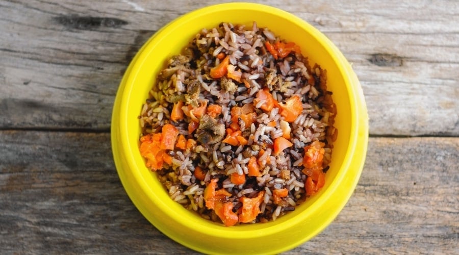 Dog bowl of grains and carrots.