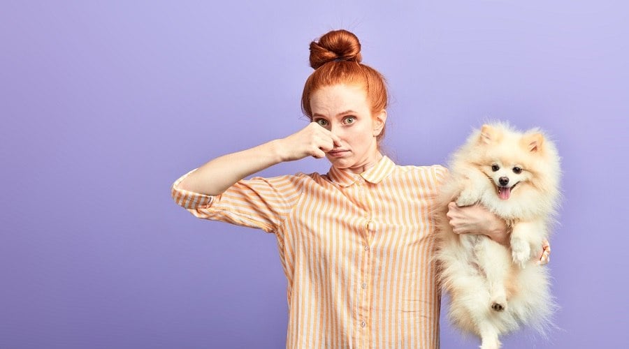Woman holding dog plugging her nose.