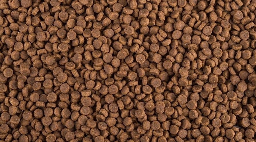 Dog Food Formulas