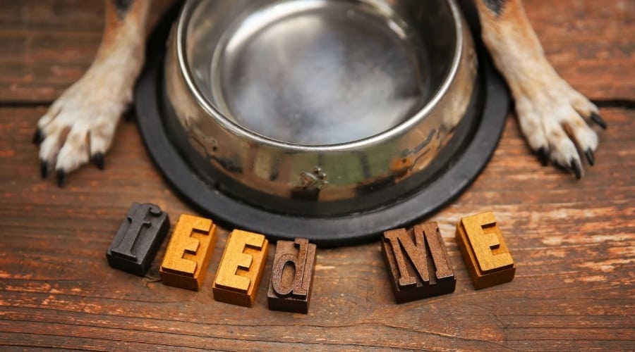 Dog Food Formulas Diamond Naturals
