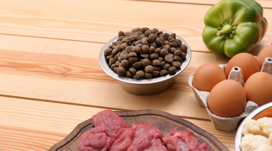 Dog Food Ingredients