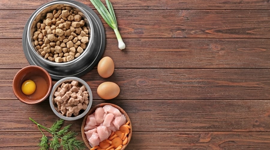 Dog Food Ingredients on Table