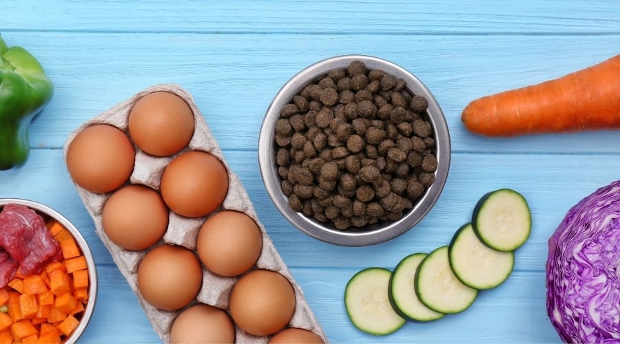 Dog Food with Natural Ingredients