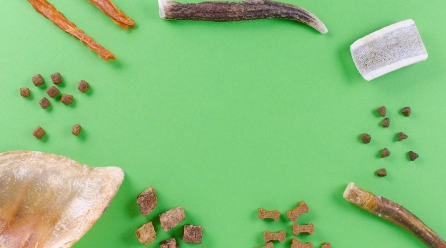 Dog Treats