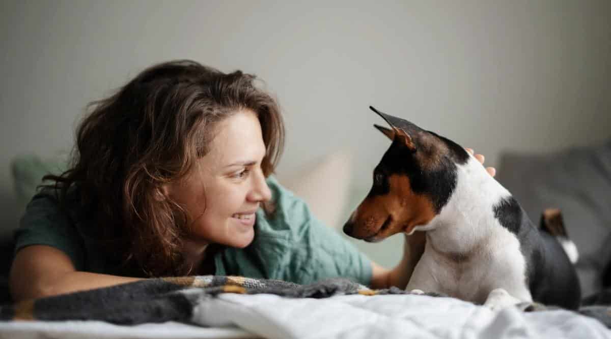 woman bonding with rescue dog