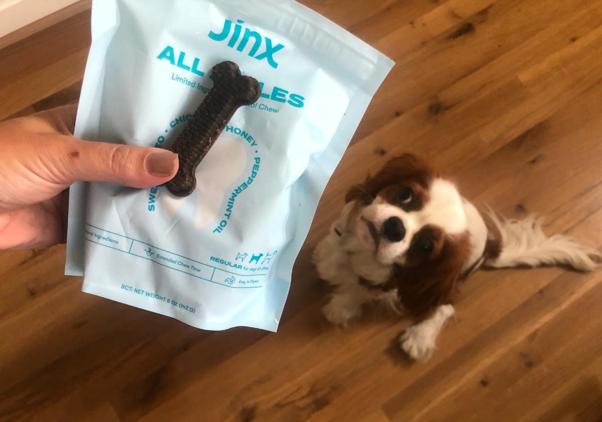 Dog looking up at Jinx dental treats sitting on the ground.