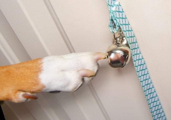 Dog nail getting snagged in hanging dog doorbell