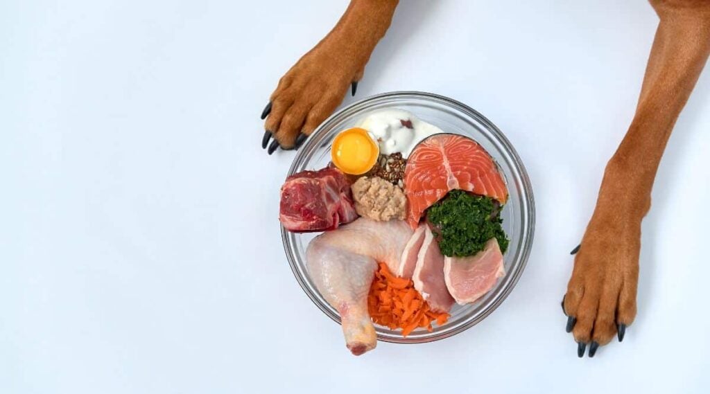 Dog paws next to a bowl of food with raw ingredients in it