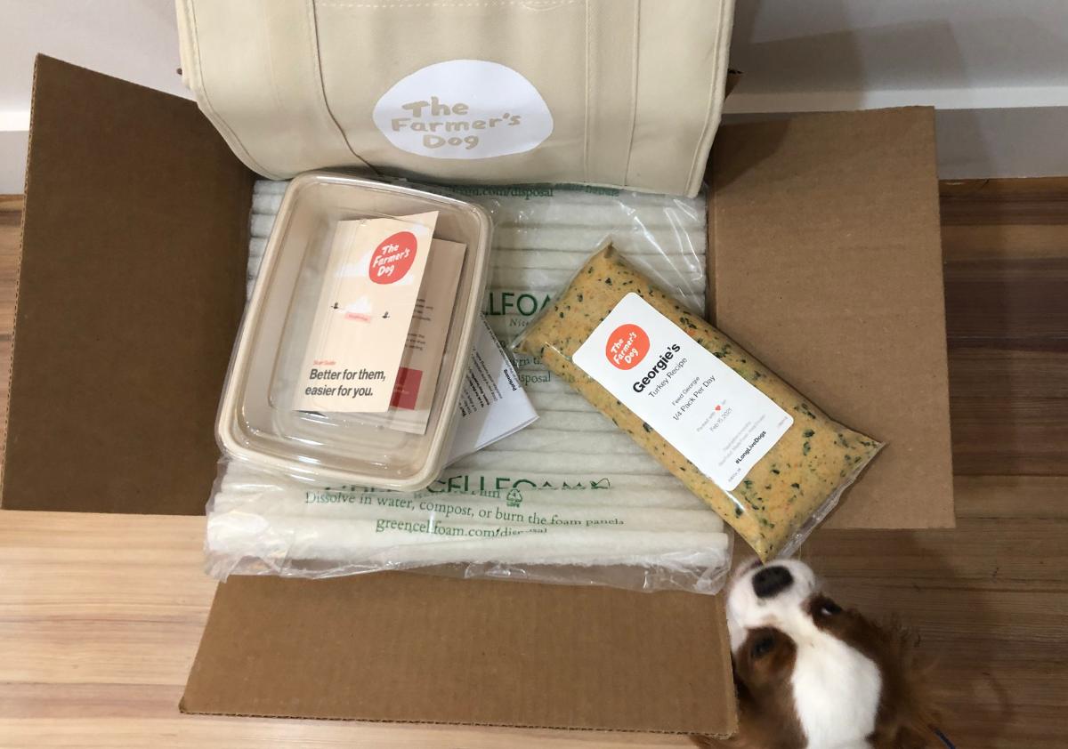 Dog sniffing The Farmer's Dog food shipping box with food and wrapping.