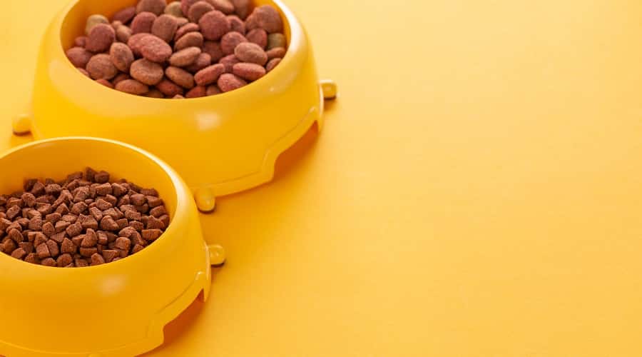 Dry Kibble Without Bell Pepper