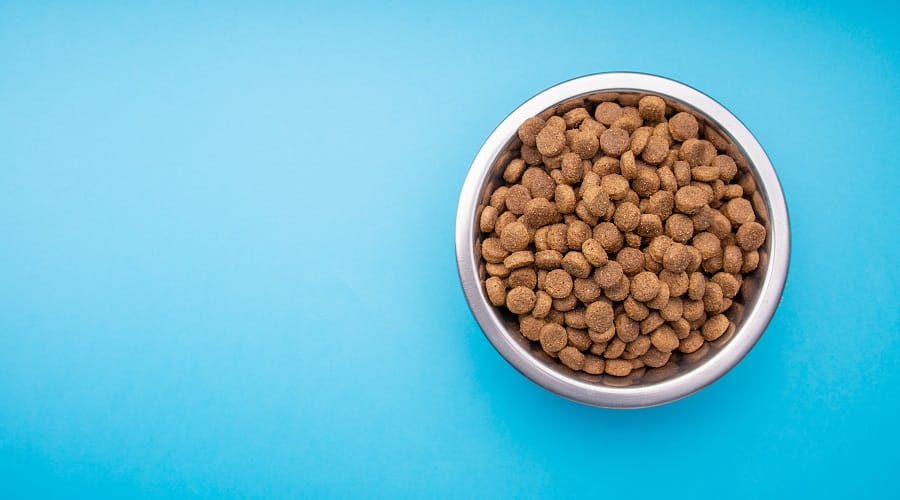 Duck Dog Food in Bowl